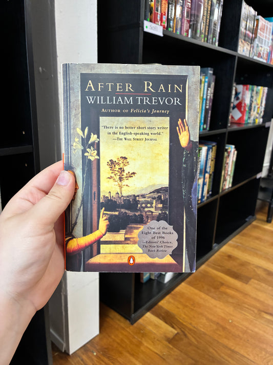 After Rain by William Trevor