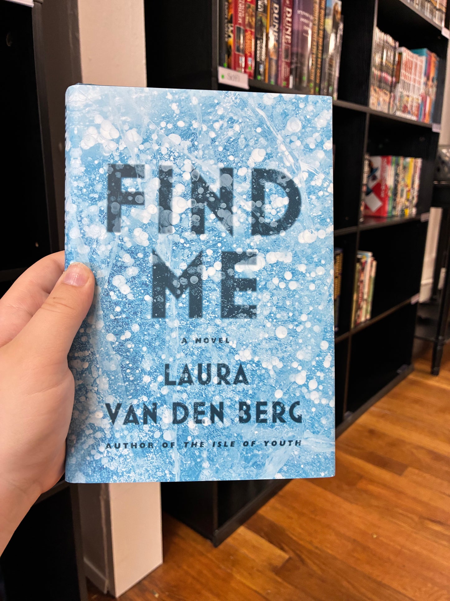 Find Me by Laura Van Den Berg