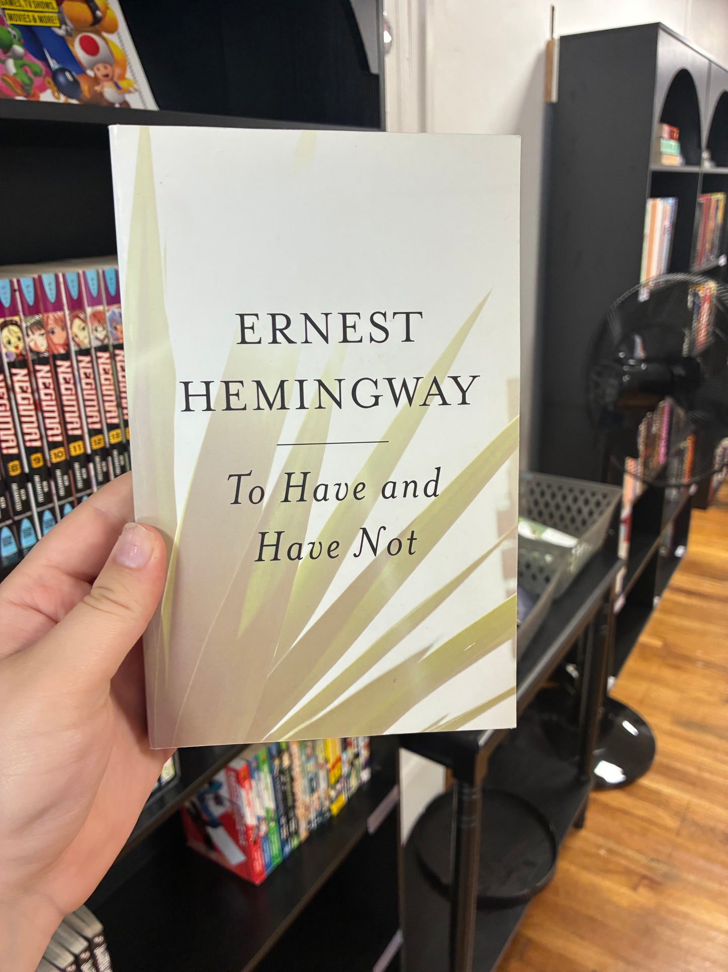 To Have and To Have Not by Ernest Hemingway