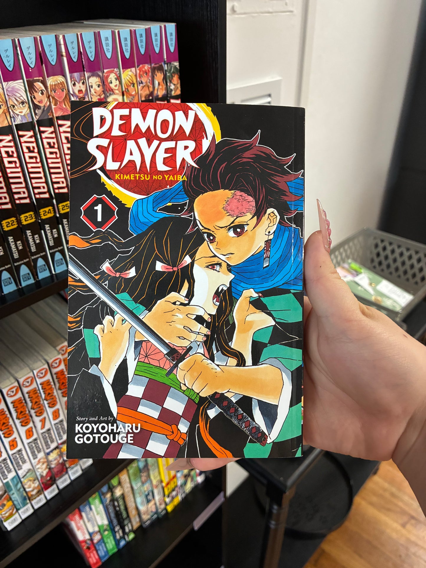 Demon Slayer (Vol 1)