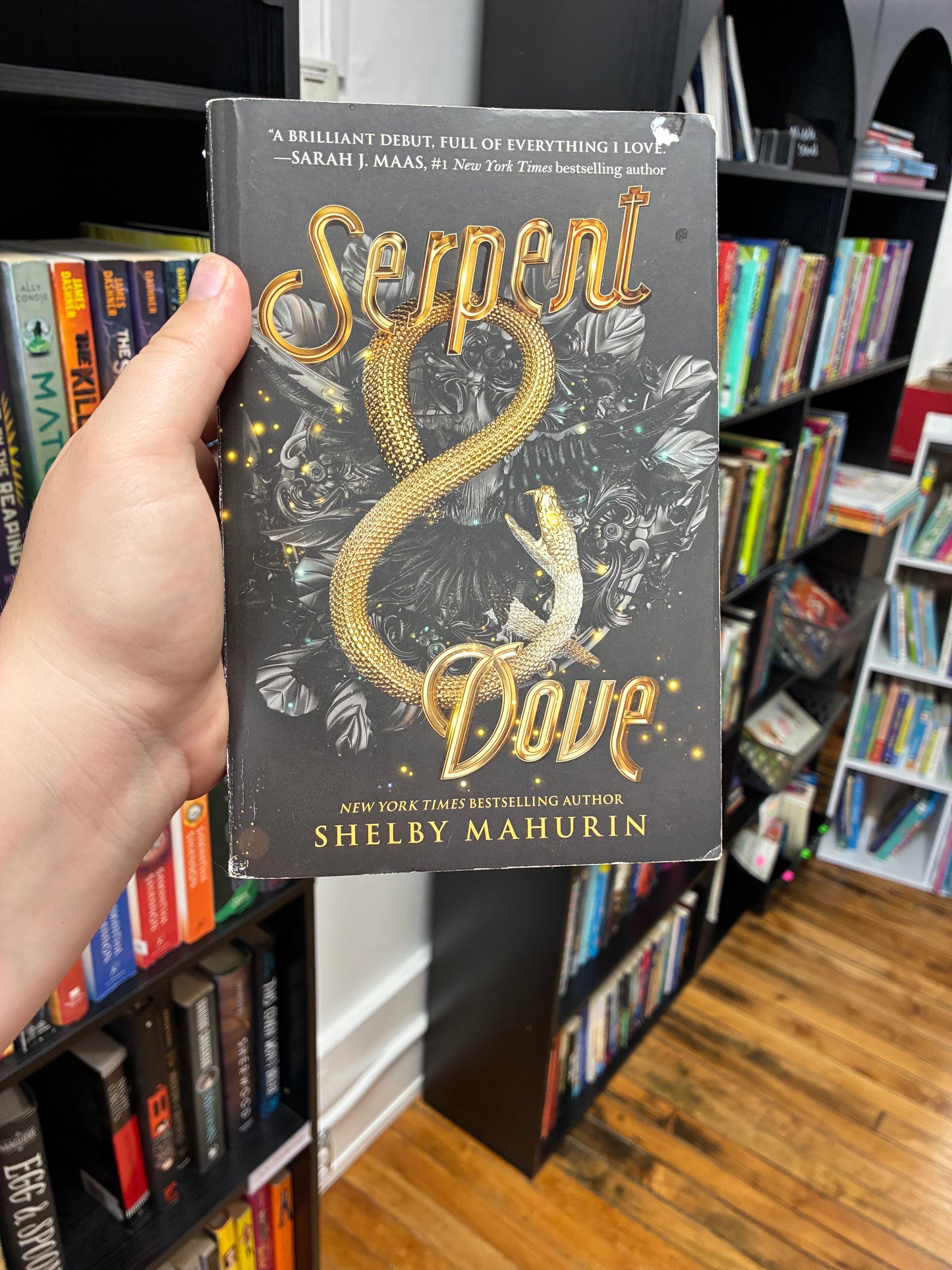 Serpent and Dove by Shelby Mahurin