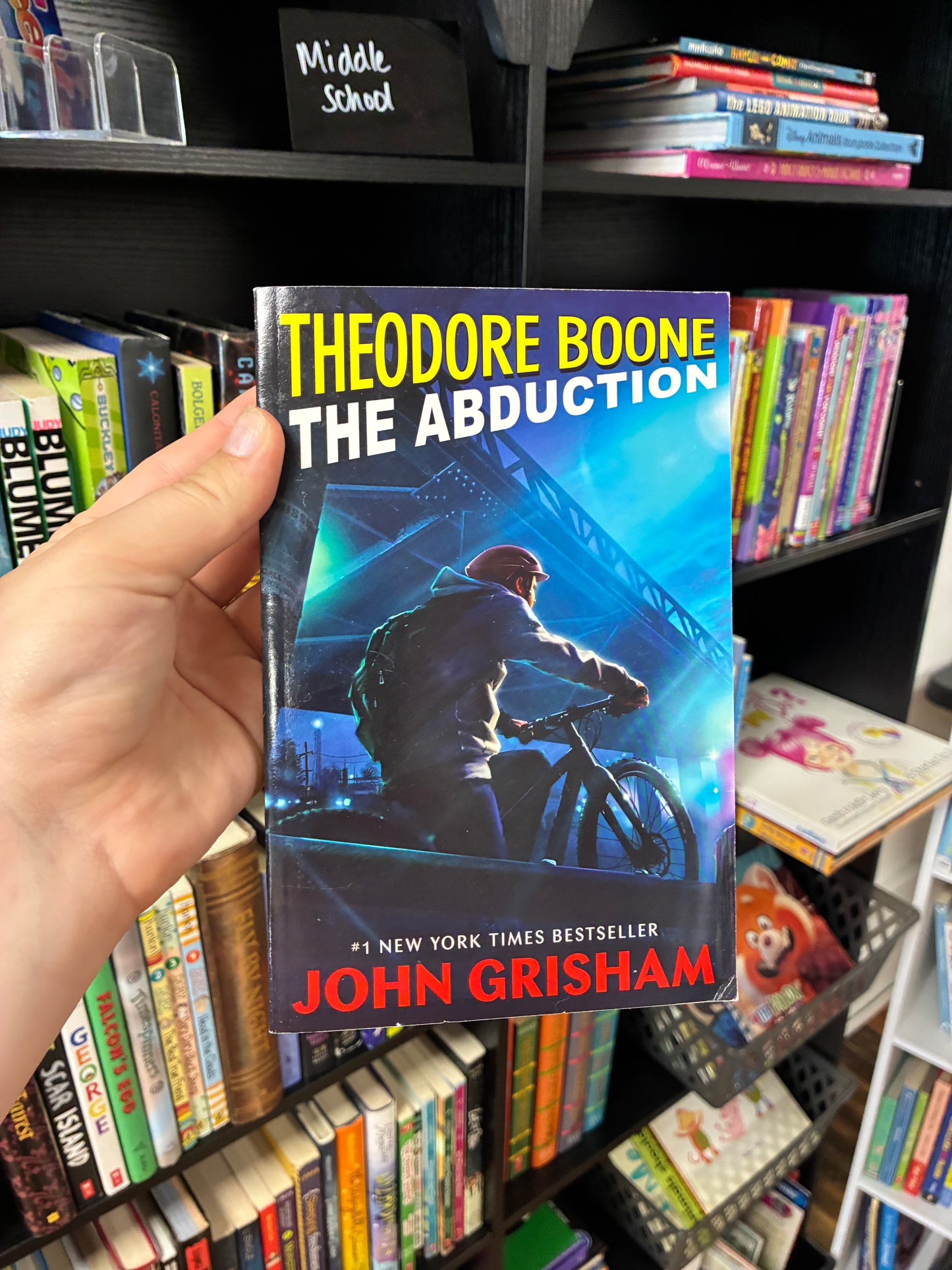 Theodore Boone The Abduction by John Crisham