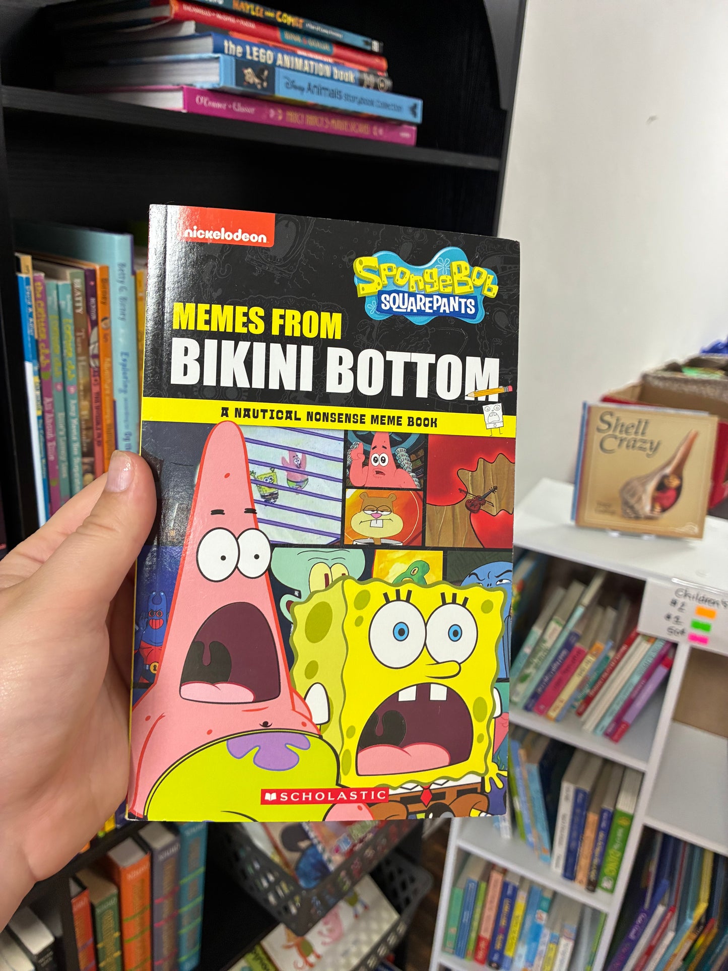 Memes from Bikini Bottom by Brigid Martin