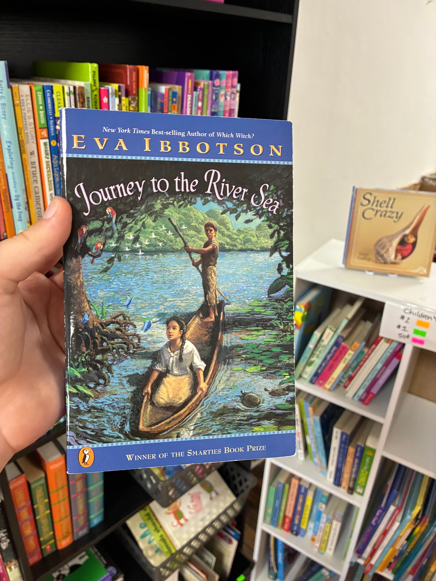 Journey to the River Sea by Eva Ibboston