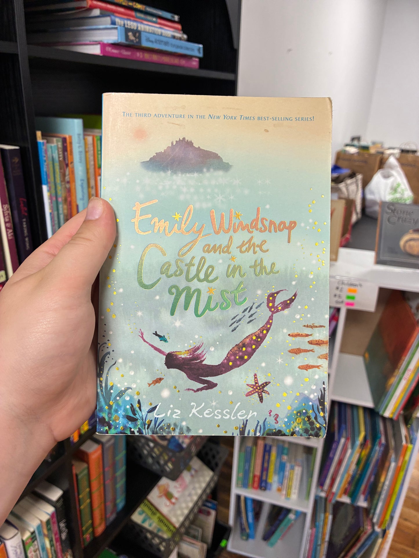 Emily Windsnap and the Castle in the Mist by Liz Kessler