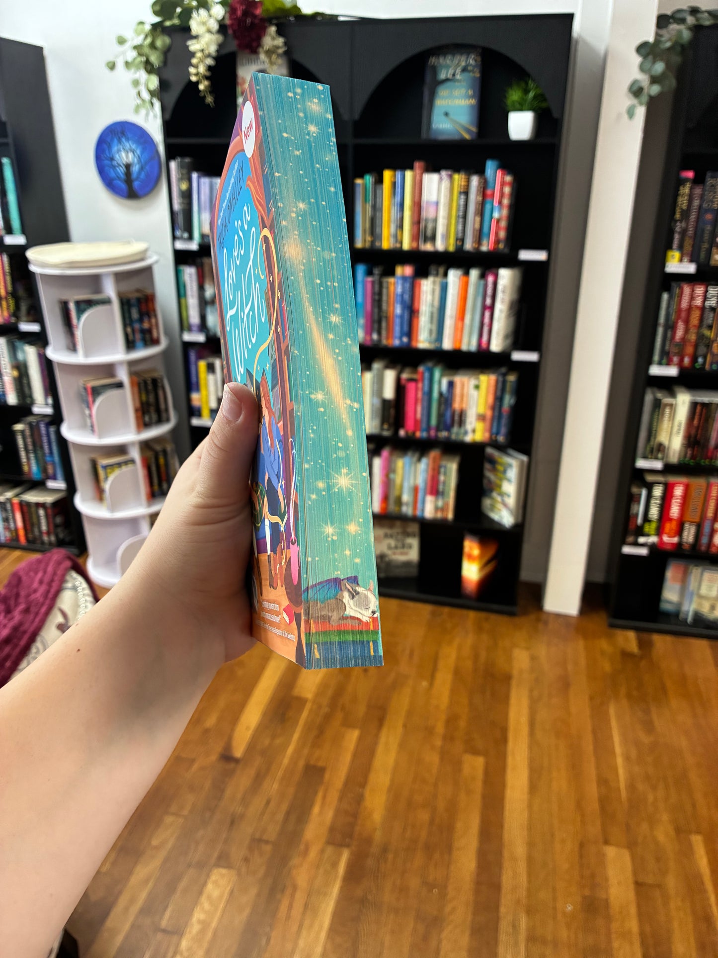 Love’s a Witch by Tricia O’Malley (NEW) (Sprayed Edges)
