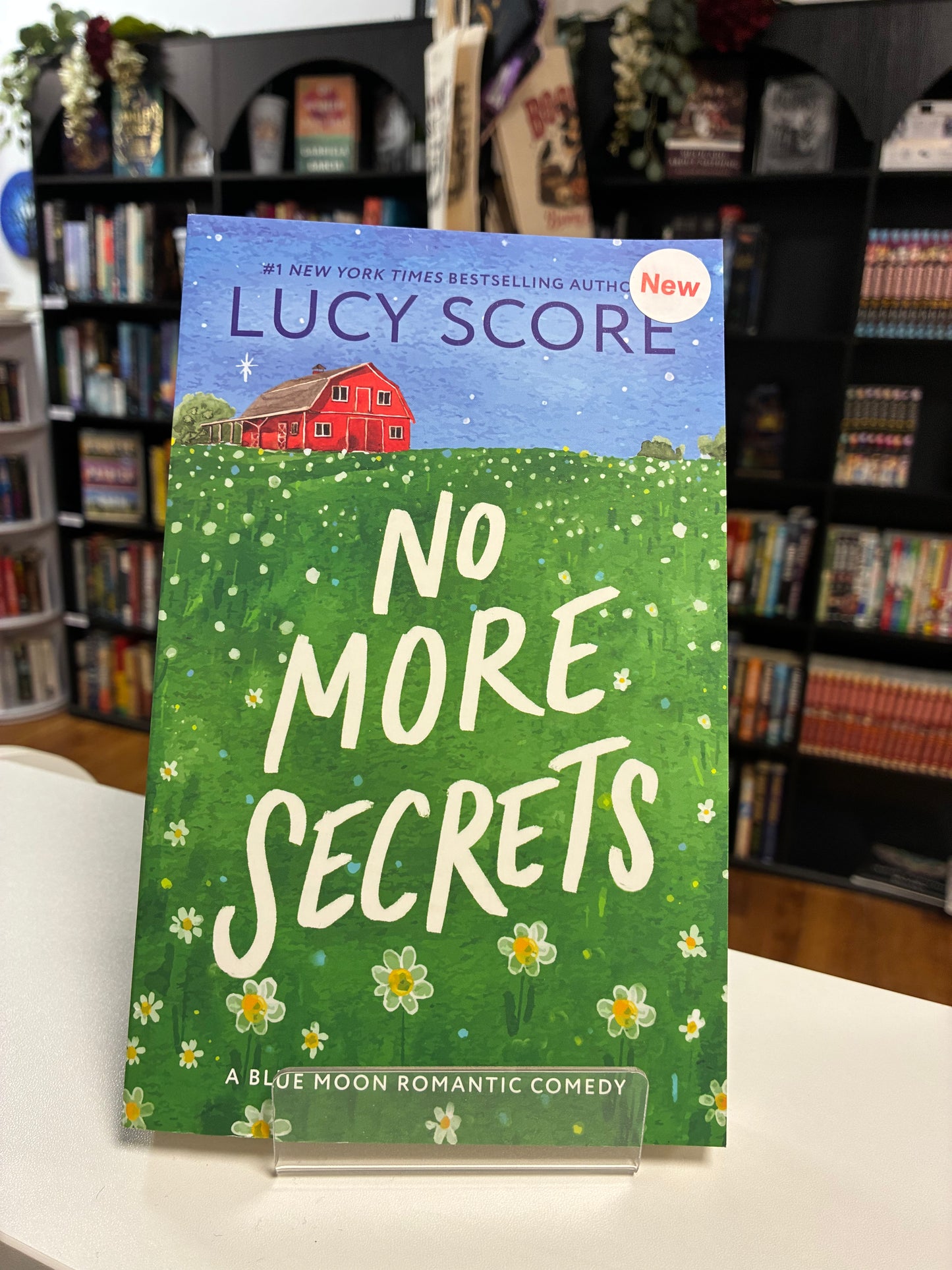 No More Secrets by Lucy Score (New)