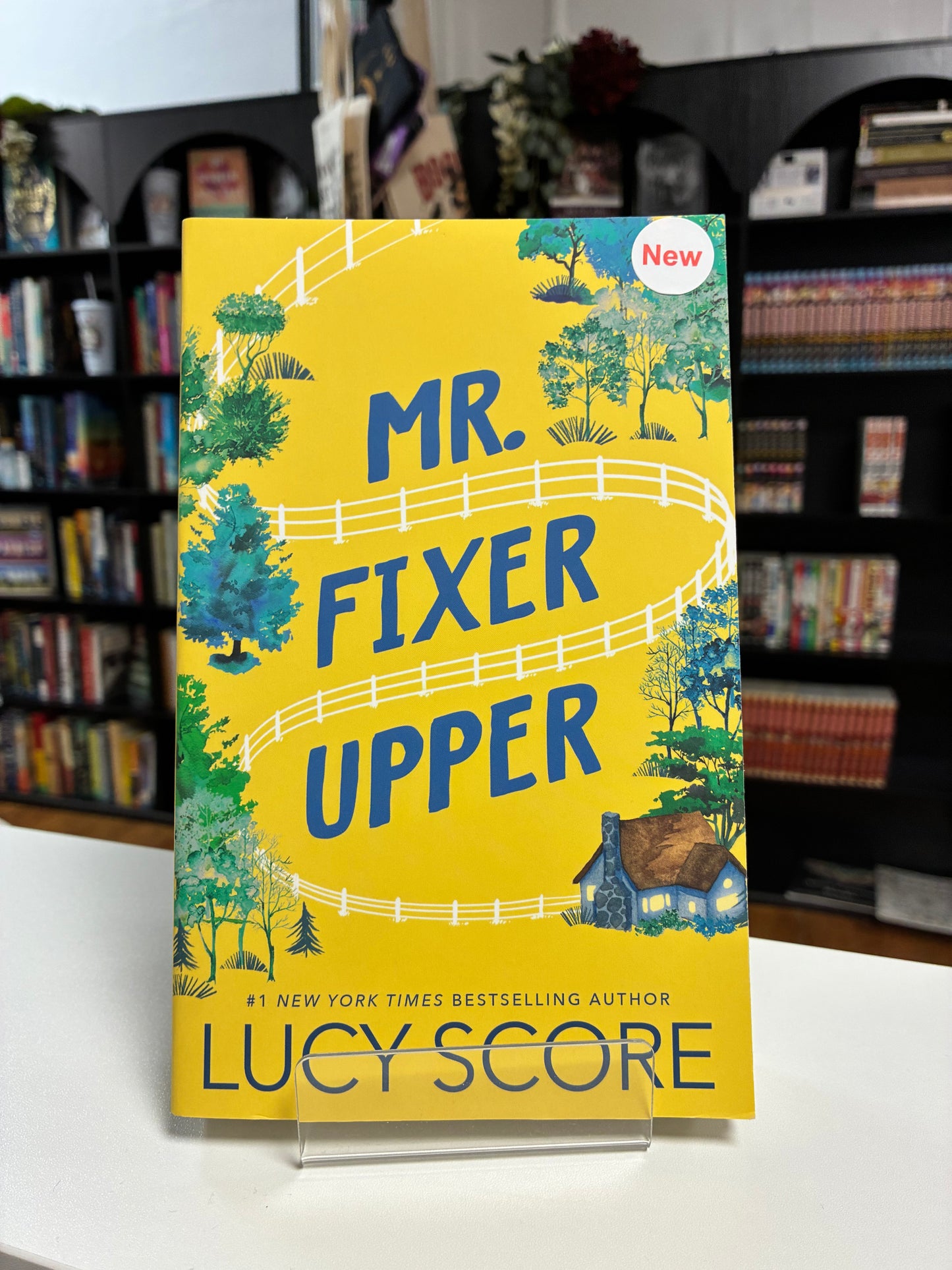 Mr. Fixer Upper by Lucy Score (New)