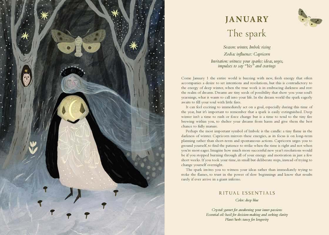 2027 Seasons of the Witch Planner Calendar by Lorriane  Anderson