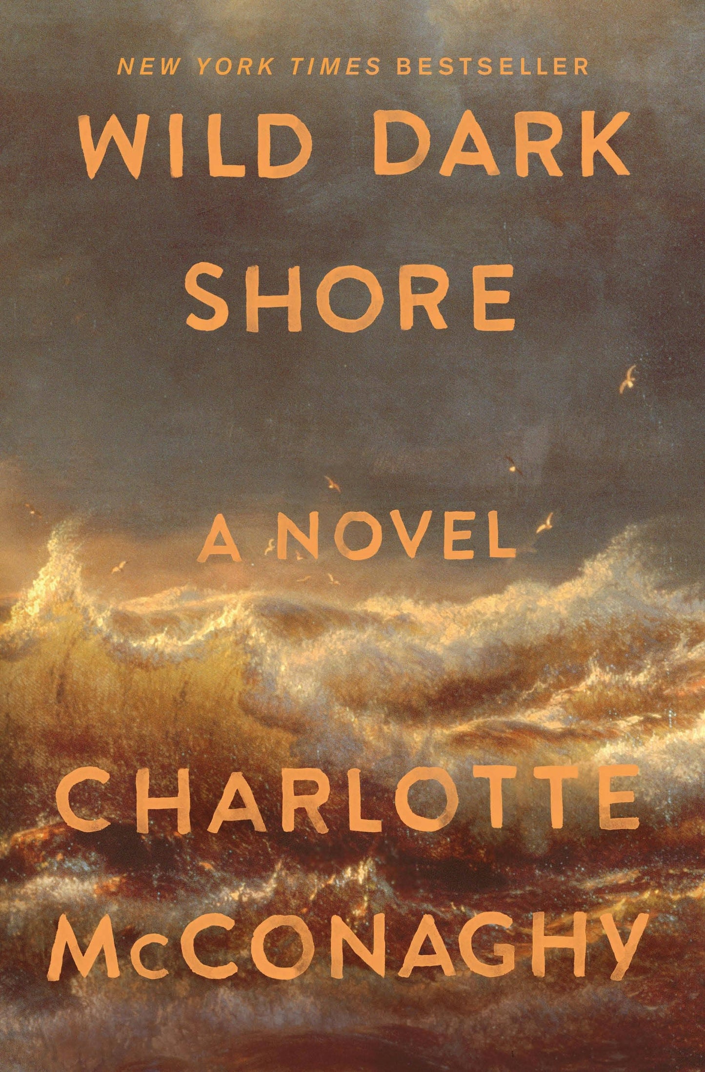 Wild Dark Shore by Charlotte McConaghy (NEW)